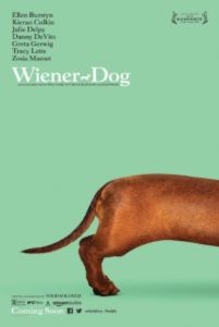 Wiener Dog.jpg